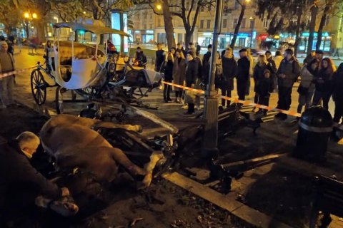Коня, який травмував 15-річну дівчину у Львові, приспали