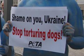 Защитники животных взялись за Януковича