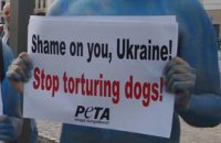 Защитники животных взялись за Януковича