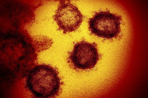 У Німеччині кількість хворих на коронавірус за добу збільшилась майже вдвічі