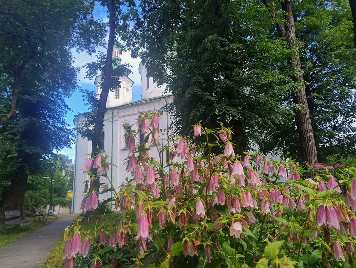 Кирилівська церква