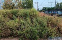 У Києві судитимуть підприємця у справі про привласнення майже 5 млн грн, виділених на ліквідацію амброзії