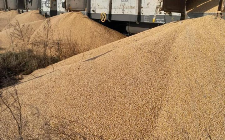 Близько 30 тонн української кукурудзи, яку невідомі розсипали у Польщі, не вдалось зібрати