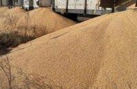 Близько 30 тонн української кукурудзи, яку невідомі розсипали у Польщі, не вдалось зібрати