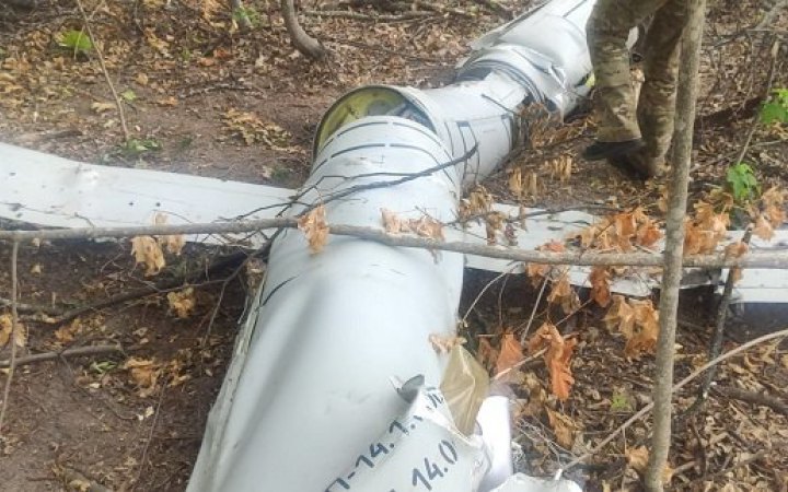 На Вінниччині лісничі знайшли ворожу крилату ракету "Калібр", збиту засобами ППО