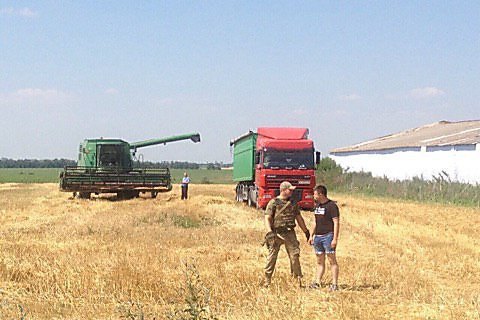 В Николаевской области вооруженные люди пришли косить пшеницу на чужое поле