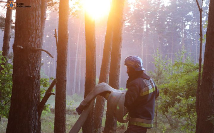 На Київщині у Вишгородському районі ліквідовано пожежу лісової підстилки на площі 35 га