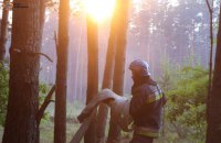 На Київщині у Вишгородському районі ліквідовано пожежу лісової підстилки на площі 35 га