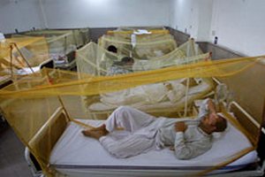 Пакистан ожидает одна из самых крупных эпидемий лихорадки Денге