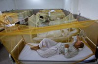 Пакистан ожидает одна из самых крупных эпидемий лихорадки Денге
