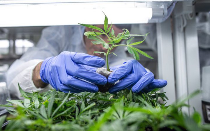 Шкода від наркотиків у світі зросла на чверть з 1990 року: в Україні найбільшу загрозу становлять опіоїди