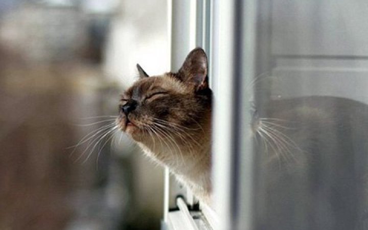 В неділю в Україні буде тепла погода – до +27°