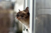 В неділю в Україні буде тепла погода – до +27°