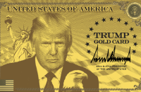 США запустили нову візову програму "Золота картка Трампа": податися можна за $1 млн
