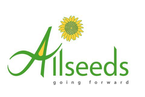Группа Allseeds: Капитализация доверия и эффективности