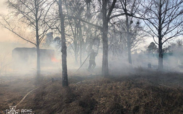 У Деснянському районі Києва спалахнули дві пожежі сухої трави