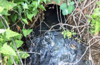 В курортной Кирилловке обнаружили трубопровод, сбрасывавший нечистоты в Утлюкский лиман