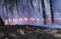 Пожар в Ялтинском заповеднике ликвидировали