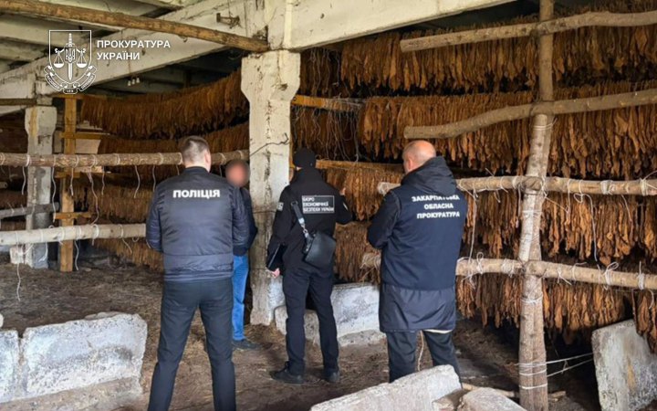 8,3 тонни тютюну і 25 гектарів посівів: на заході України припинено діяльність підпільної мережі тютюнового бізнесу