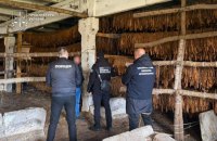 8,3 тонни тютюну і 25 гектарів посівів: на заході України припинено діяльність підпільної мережі тютюнового бізнесу