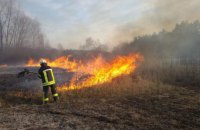 С начала года в Украине произошло более 9 тыс. возгораний травы, мусора и кустарников