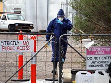 Австралия готова ввести режим чрезвычайного положения в связи с птичьим гриппом
