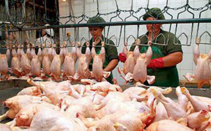 Україна зняла повну заборону на імпорт курятини та яєць із Польщі