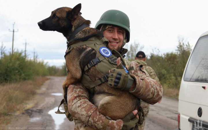 Понад 500 службових собак працюють в Збройних Силах України