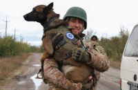 Понад 500 службових собак працюють в Збройних Силах України