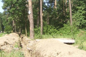 Янукович пообещал защитить лес под Киевом 