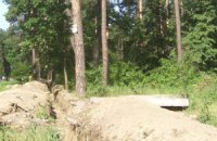 Янукович пообещал защитить лес под Киевом 