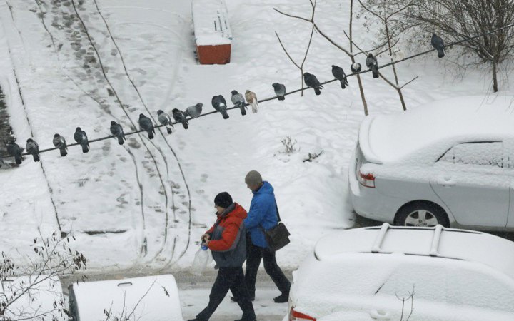 Січень в Києві був теплішим за кліматичну норму