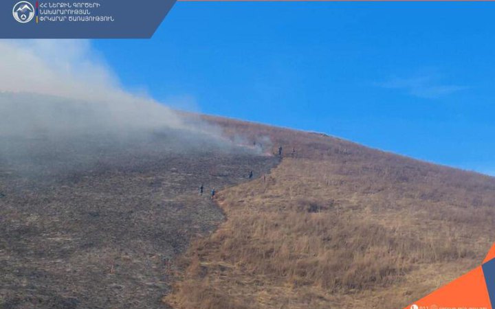 Майже 700 рятувальників гасять лісові пожежі у Вірменії