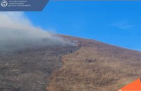 Майже 700 рятувальників гасять лісові пожежі у Вірменії
