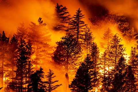 У Чорногорії спалахнула лісова пожежа