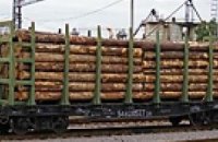 Кабмин снизил тариф на перевозку лесоматериалов железной дорогой