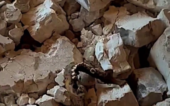 Окупанти не прибирають людських решток з-під завалів будинків у Маріуполі