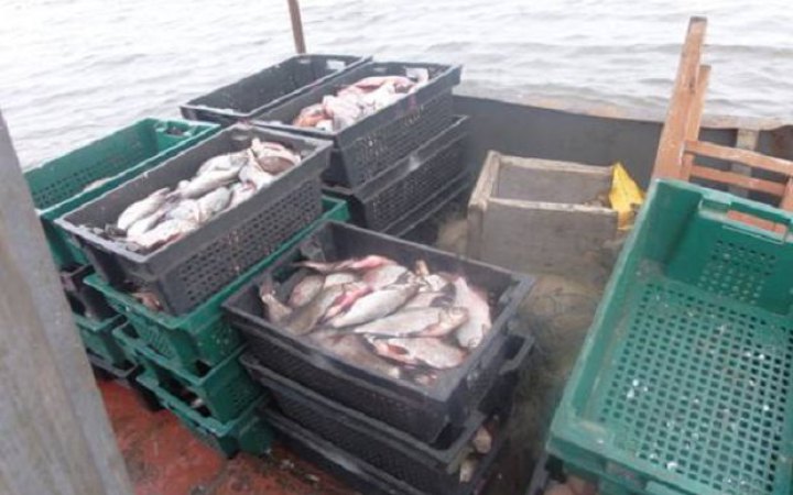 Родичам мобілізованих жителів російського Сахаліну обіцяють по 5 кг риби 