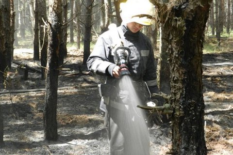 У Херсонській області виникла лісова пожежа