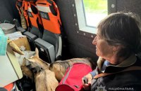 "Білі янголи" евакуювали мешканку Сумщини разом із домашніми тваринами