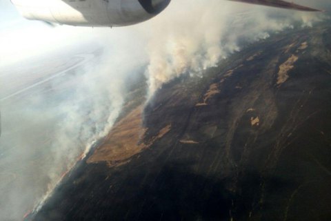 В Одесской области потушили крупный пожар в Вилковском лесничестве (обновлено)