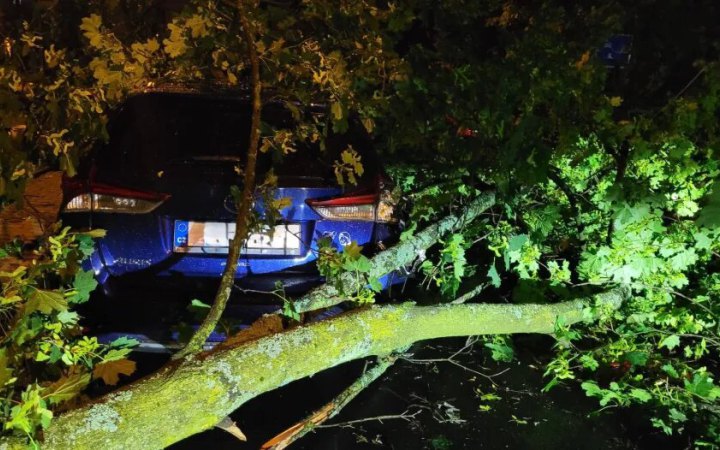 У Чехії через негоду загинула жінка: на неї впало дерево