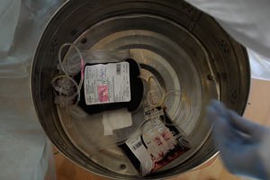 Киев хотят оставить без донорской крови, - "УДАР"