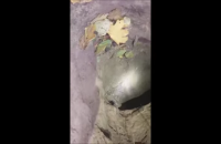 Польські прикордонники знайшли тунель, яким із Білорусі в країну пробиралися нелегали