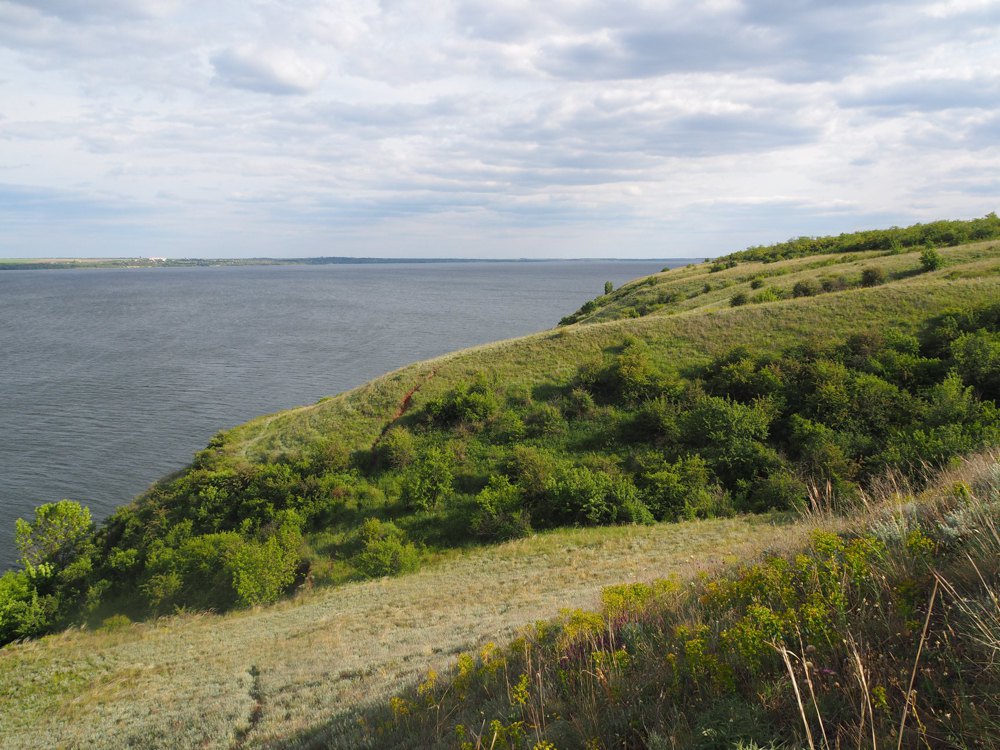 Кам'янська Січ, 2020 рік
