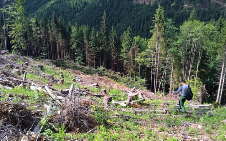 Помічник екснардепа ОПЗЖ та депутата Закарпатської облради незаконно захопили землю і збудували відпочинковий комплекс