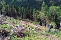 Помічник екснардепа ОПЗЖ та депутата Закарпатської облради незаконно захопили землю і збудували відпочинковий комплекс