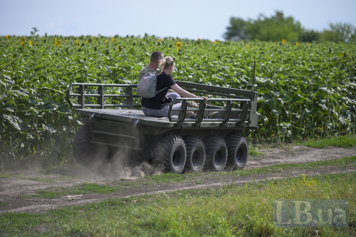 Миротворець в русі