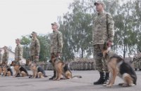 У Львівській області прикордонні собаки склали присягу на вірність Україні