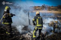 На Білоцерківщині під час спалювання сухої рослинності загинув чоловік